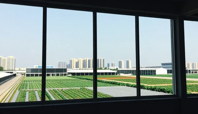 如何优化区域精准搜索提升企业信息更新效率